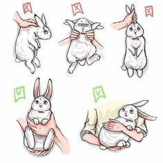 an image of some bunny characters doing different things