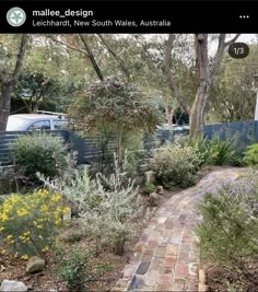 a brick path in the middle of a garden