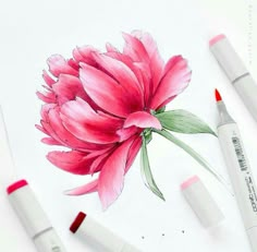 some pink flowers are next to markers and pens on a white sheet with watercolor pencils