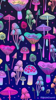 colorful mushrooms and stars on a blue background with pink, purple, and green colors