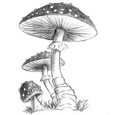 a black and white drawing of a mushroom with its head in the air, next to a