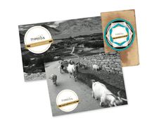 two postcards with cows walking down the road in front of a stone wall and mountains