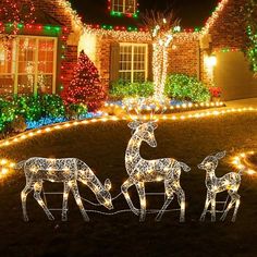 christmas lights decorate the front yard of a house with deers and trees on it