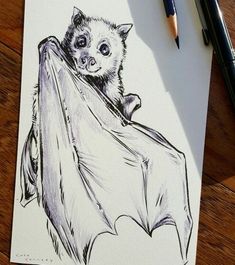 a pencil drawing of a bat hanging upside down on a piece of paper next to some pens