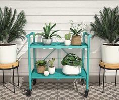 three potted plants sitting on top of a red shelf next to two chairs and a wall