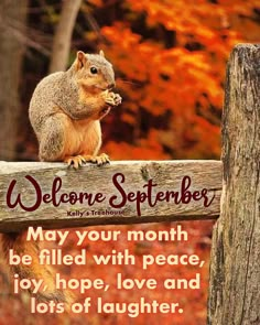 a squirrel sitting on top of a wooden bench with a sign that says, welcome september