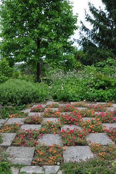 a stone path with flowers and trees in the background