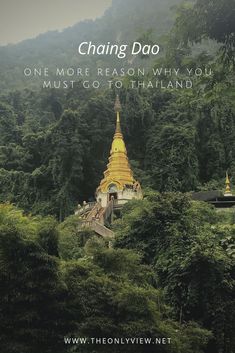 a yellow pagoda in the middle of trees and mountains with text that reads, one more reason why you must go to thailand