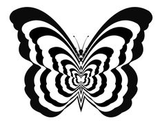 a black and white butterfly on a white background