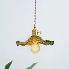 a light that is hanging from a wire on the ceiling with a plant in front of it