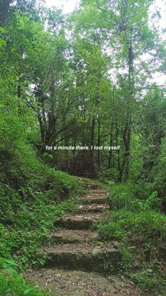 a dirt path in the middle of a forest