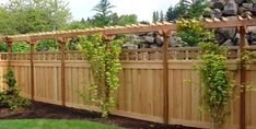 a wooden fence with plants growing on it