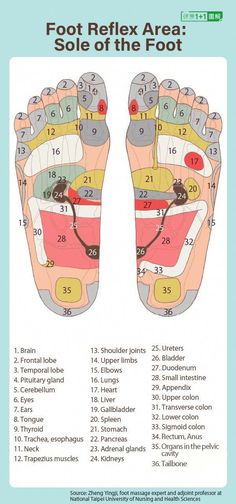 Ear Reflexology, Tree Dies, Reflexology Foot Chart, Foot Reflexology Massage, Reflexology Chart, Reflexology Massage, Leg Massage, Foot Reflexology, Healing Touch