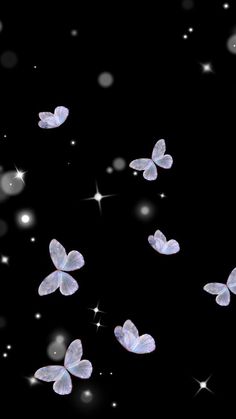 some white butterflies flying in the air with sparkles on their wings and black background