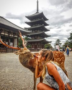 a woman kissing a deer in front of a pagoda