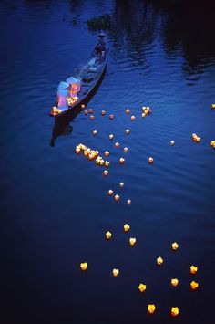 a boat floating on top of a body of water filled with lots of yellow flowers