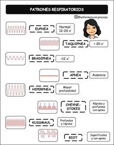 the diagram shows different types of sound waves and their corresponding parts, including microphones