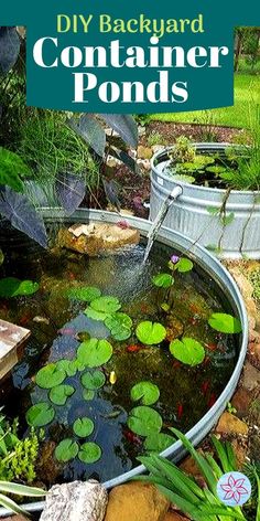 the backyard pond is filled with water lilies