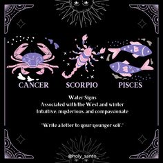 Scorpio Witch, Week Journal, Eclectic Witch, Astrology Art, Water Signs, Witchy Things, Spells Witchcraft, Scorpio Zodiac