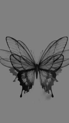 a black and white photo of a butterfly