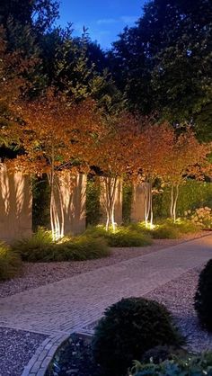 an image of a garden at night with the words, lights and trees lit up