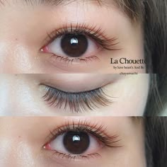 Asian Wispy Lashes, Japanese Lash Extensions, Korean Lash Extensions, Eyelash Extensions Salons, Natural Fake Eyelashes, Normal Makeup, Bentuk Alis, Eyebrow Styles, Head Anatomy