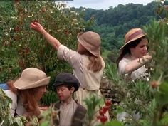 three women in hats are picking berries from the tree's branches while another woman holds out her hand