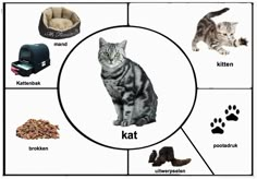 a cat is sitting in the middle of a diagram