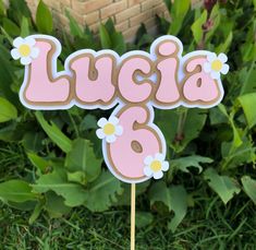 a pink cake topper that says lucia 6 with daisies in front of green grass