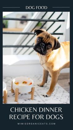 a small dog standing next to a bowl of food on the floor with text that reads chicken dinner recipe for dogs