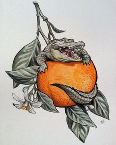 a drawing of an alligator sitting on top of an orange with leaves and flowers around it