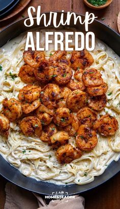 shrimp alfredo with pasta in a skillet