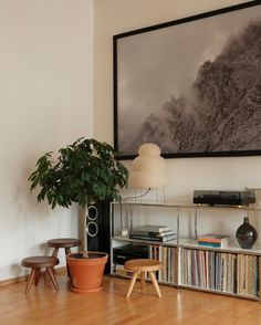 a living room filled with furniture and a plant