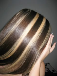 Highlights Brown Hair Skunk, Brown Hair Base With Blonde Highlights, Brown Hair Blond Chunky Highlights, Y2k Brown And Blonde Hair, Chunk Highlights Brown Hair, Chunky Blonde Highlights And Lowlights, Caramel Chunky Highlights On Dark Hair, Brown Hair With Skunk Highlights, Skunk Tail Hair Dye