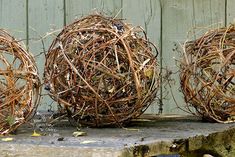 three balls of twigs sitting on the ground