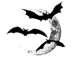 three bats are flying over the moon