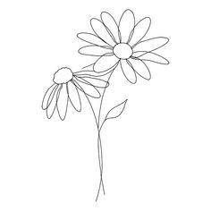 a drawing of a flower on a white background