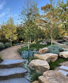 a rock garden with steps leading up to trees and bushes on either side of the path