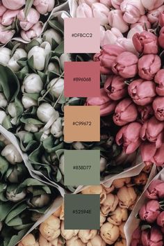 tulips and other flowers are arranged in shades of pink