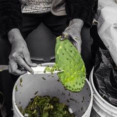 a person scooping food out of a bucket