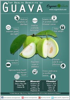 Health Benefits Of Guava, Benefits Of Guava, Guava Benefits, Healthy Bowel Movement, Guava Leaves, Low Carb Plan