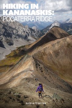 the cover of hiking in kananaskis'pocatetra ridge