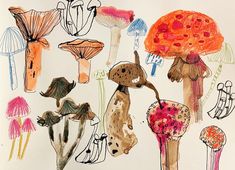 a drawing of different types of mushrooms