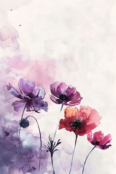 three colorful flowers on a white and purple background