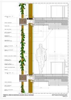 an architectural drawing of a man walking in front of a wall with plants growing on it