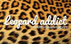 Chaotic Mind, Love Crystals, Breaking Barriers, Leopard Prints, Leopard Fashion, Animal Print Fashion, Leopard Animal, Leopards