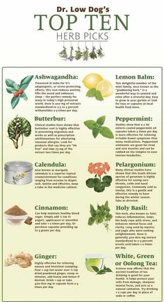 TOP TEN HERBS CHART Medicinal Herbs Remedies, Herbs For Healing, Medicine Garden, Herbs List, Herbs Remedies, Tea Herbs, Herbal Remedies Recipes, Health Herbs, Medicinal Herbs Garden