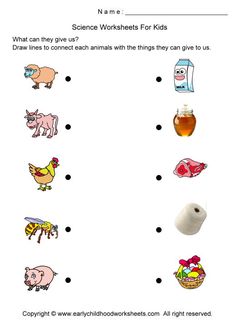 worksheet for kids to learn how to read and understand animals