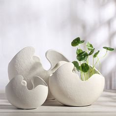 an egg shell shaped planter is shown next to it's eggshells