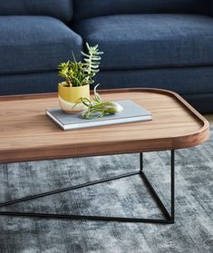 a coffee table with a potted plant on it and a book sitting on top